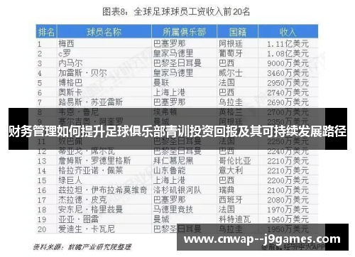 财务管理如何提升足球俱乐部青训投资回报及其可持续发展路径 财务管理如何提升足球俱乐部青训投资回报及其可持续发展路径