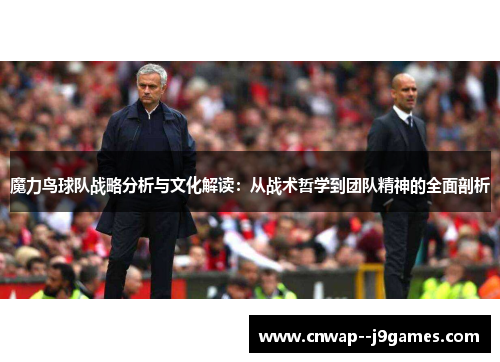 魔力鸟球队战略分析与文化解读：从战术哲学到团队精神的全面剖析