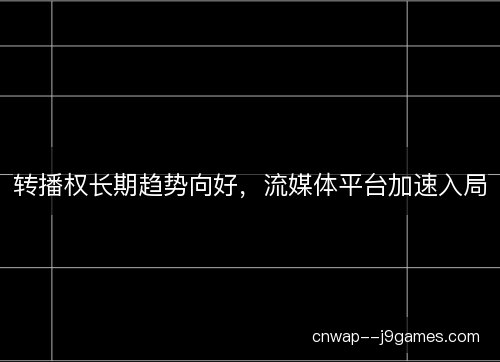 转播权长期趋势向好，流媒体平台加速入局